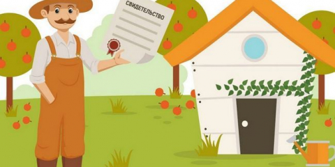 Как да организираме зона за собственост - стъпка по стъпка инструкции